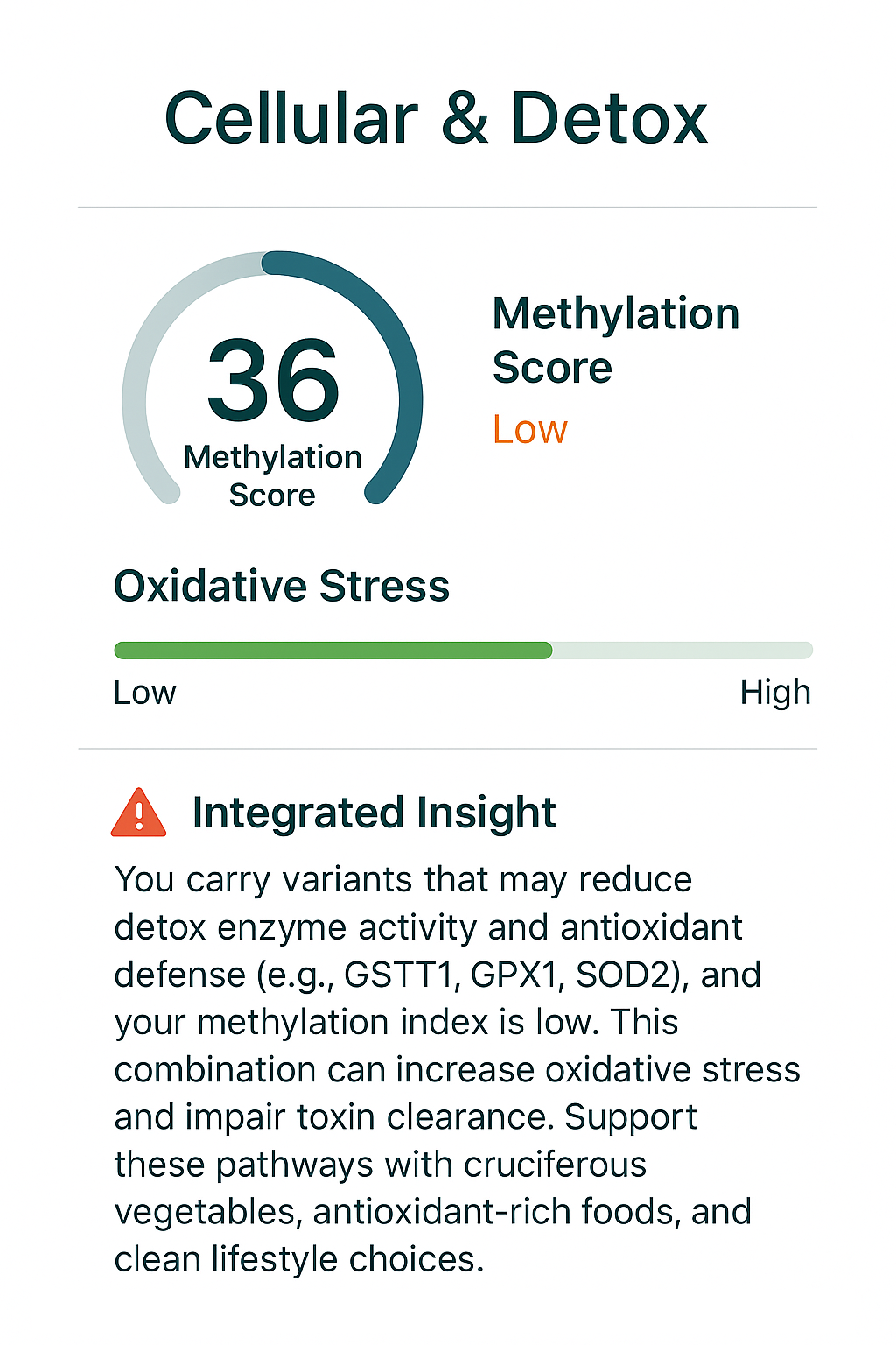 Cellular Health & Detox Insight – Liver Enzymes & Oxidative Stress